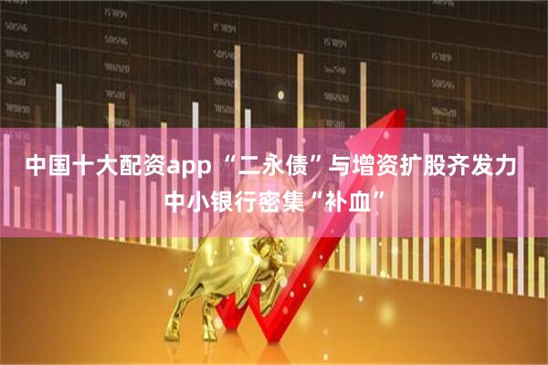 中国十大配资app “二永债”与增资扩股齐发力 中小银行密集“补血”