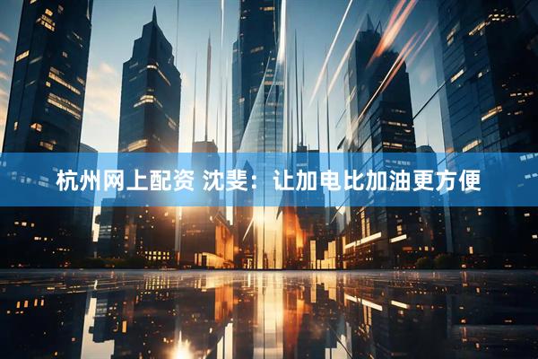 杭州网上配资 沈斐：让加电比加油更方便